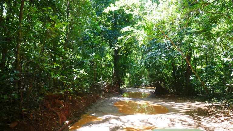 Schlammige Piste zum Cape York